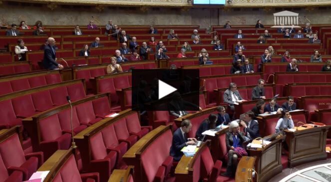Video Nation Assembly, February 14, 2024