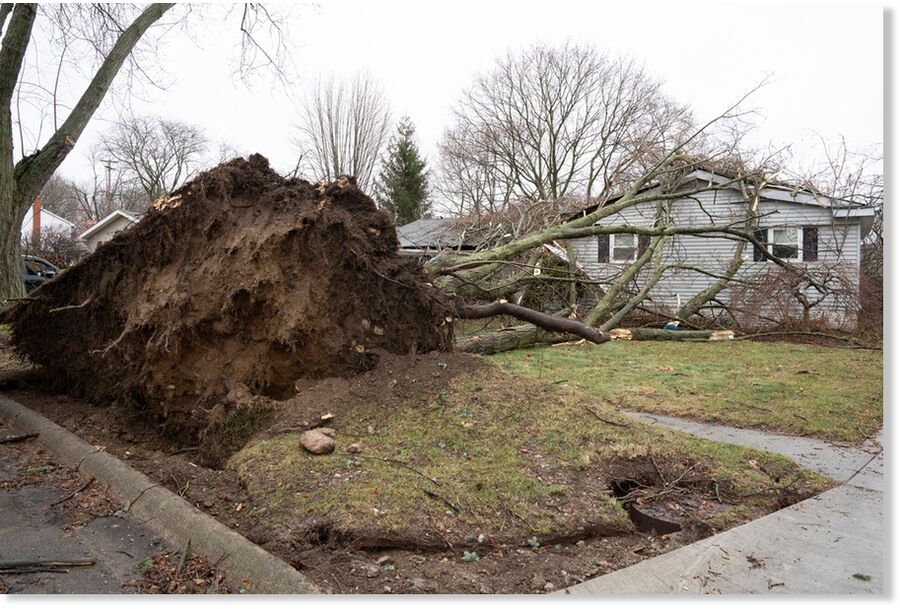 An uprooted tree lays on a house in Grand Blanc, Mich., on Wednesday, Feb. 28, 2024 after two tornadoes caused damage early Wednesday in parts of Michigan.