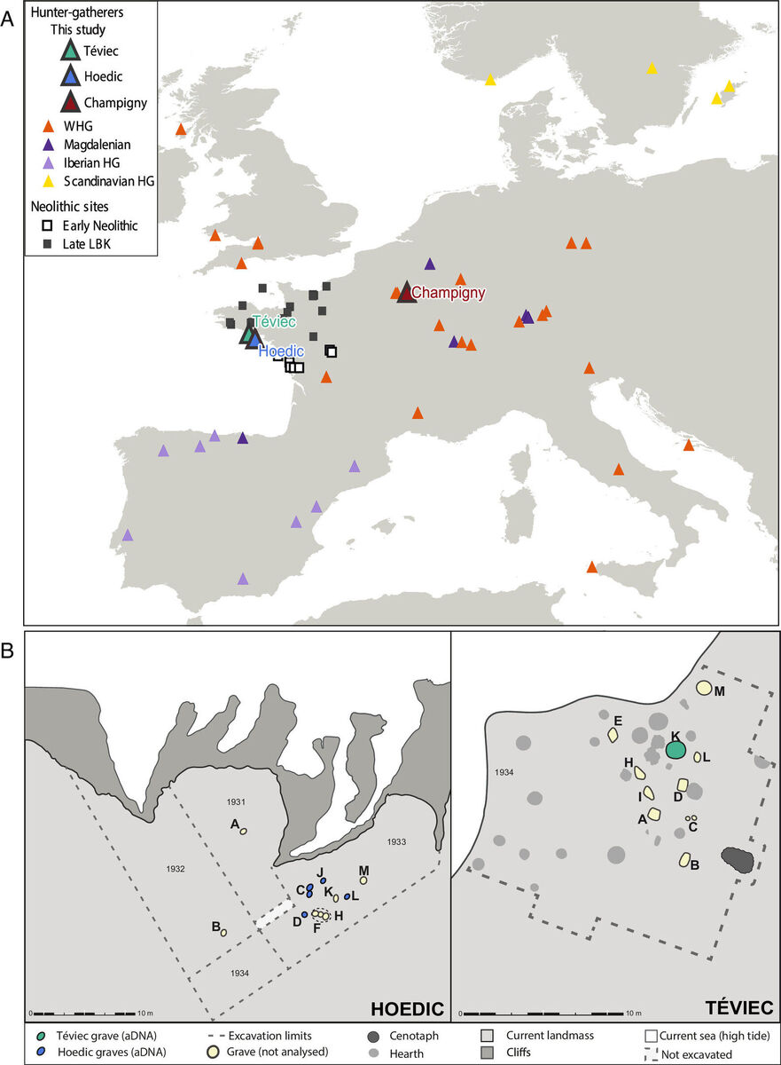 mesolithic