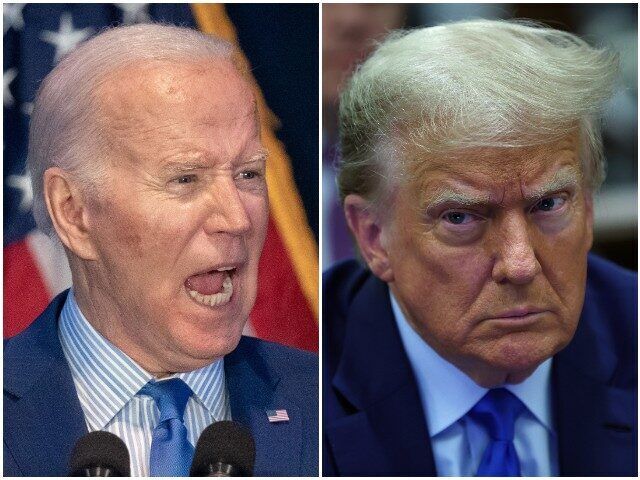 joe biden trump