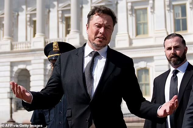 elon bash biden