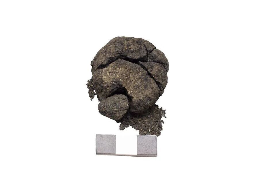 Ancient Bread
