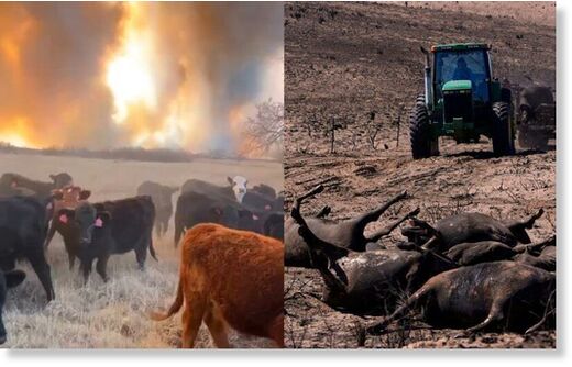 Click to enlarge texas widfire