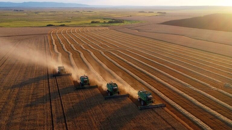 Russia grain harvest record agriculture