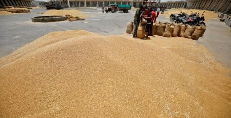 grain