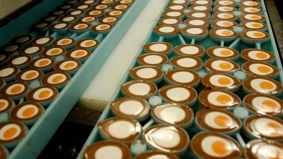chocolate cadbury egg