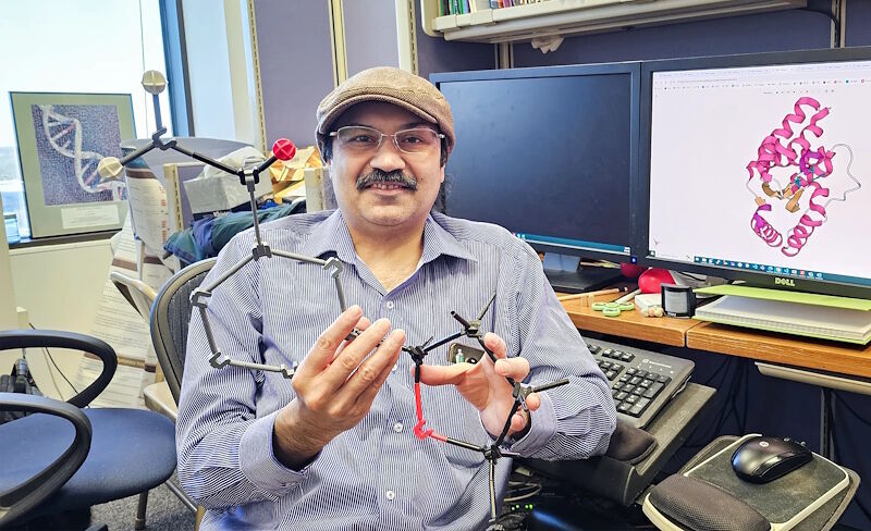 Click to enlarge L. Aravind apoptosis research cellular biology