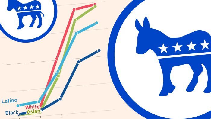race voter demographic
