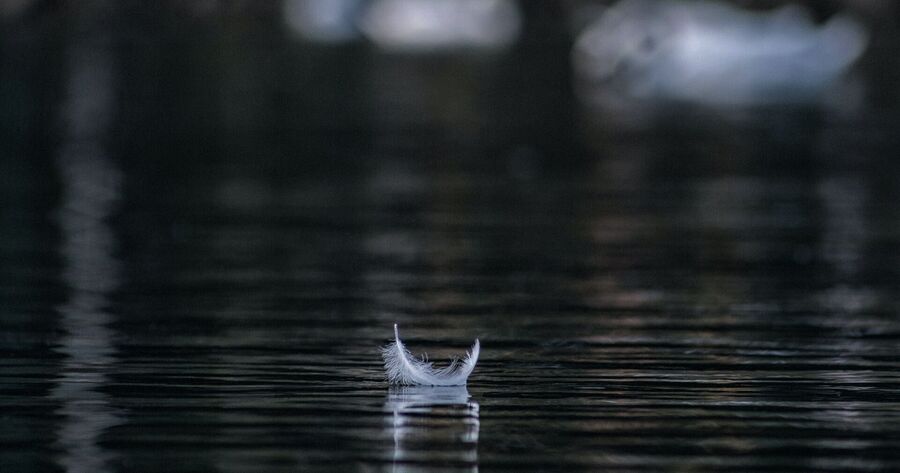 feather water near death experience