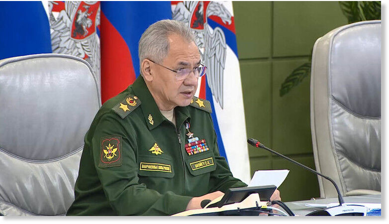 shoigu