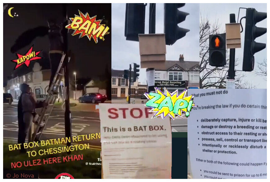 Click to enlarge Batman and Robin