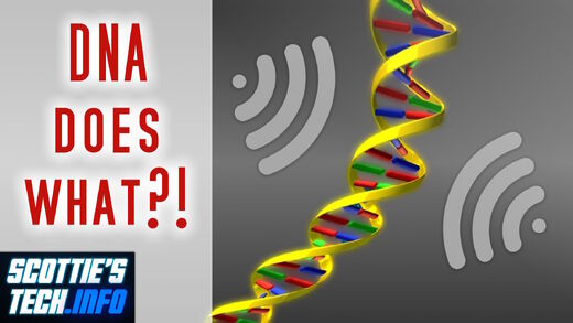 Is your DNA an EMF antenna?