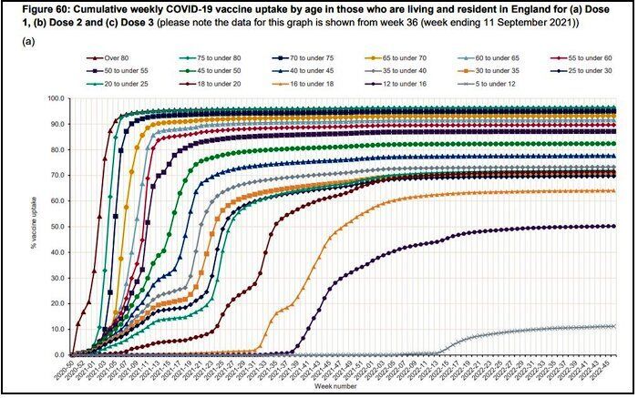 chart 13