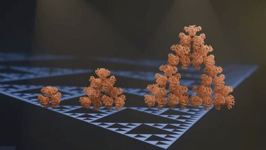 Rare discovery: First fractal molecule identified inside bacteria
