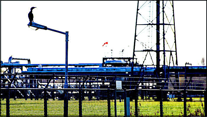Click to enlarge oil site
