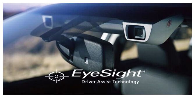 Click to enlarge Eye Sight