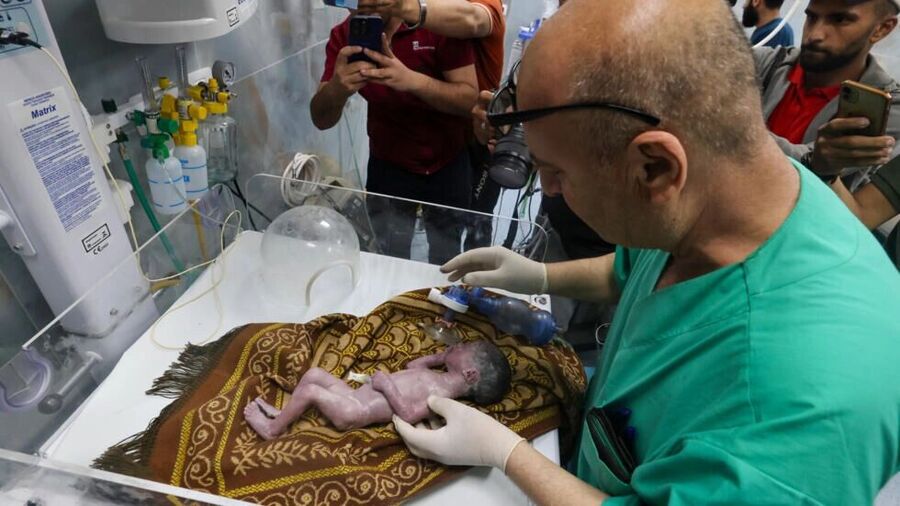 Click to enlarge baby gaza womb
