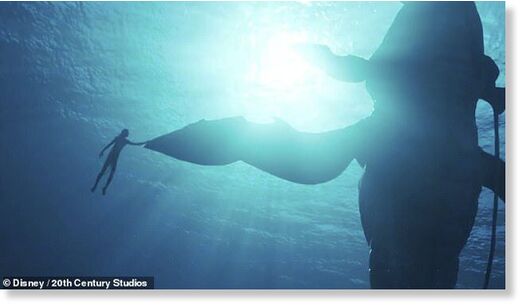 Click to enlarge avatar whale