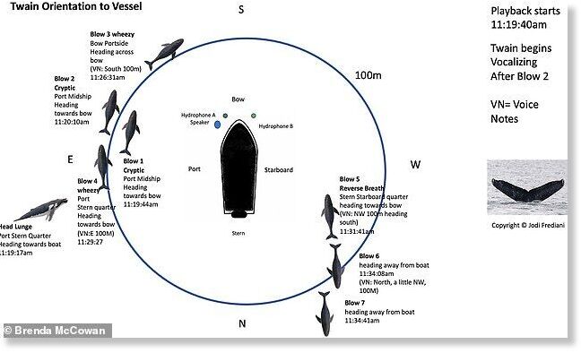 Click to enlarge Twain approached