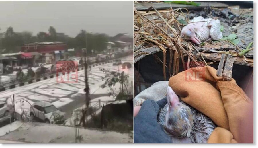 Click to enlarge Manipur: Hail storm causes extensive damage in Imphal