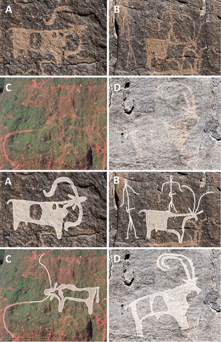 lava tubs pictographs ancient caves saudi arabia