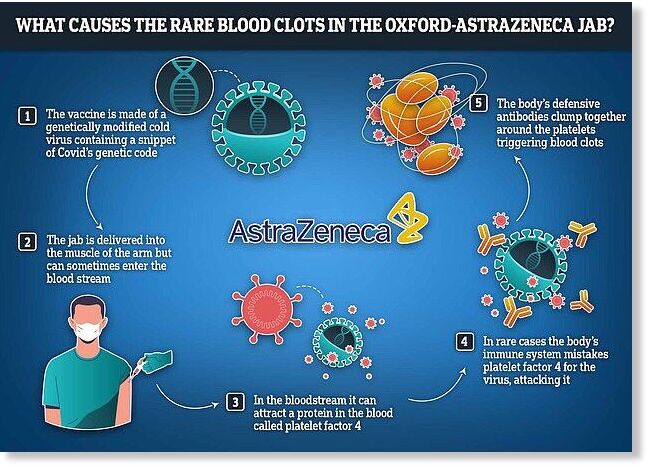 Click to enlarge daily mail