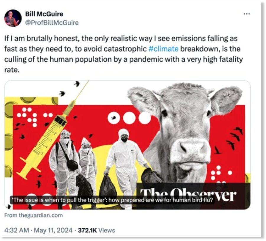 McGuire tweet
