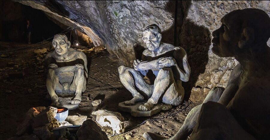 neanderthal