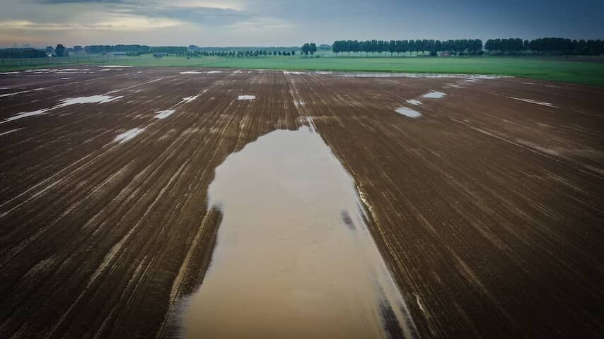 rainfall netherlands crop