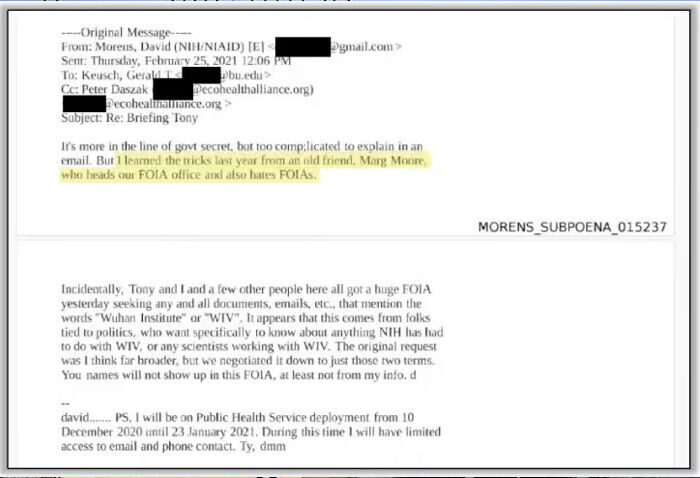 Click to enlarge email 2