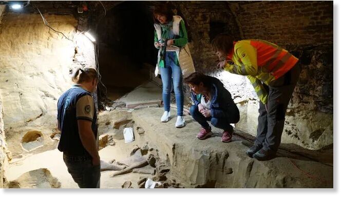 Click to enlarge archaeologist