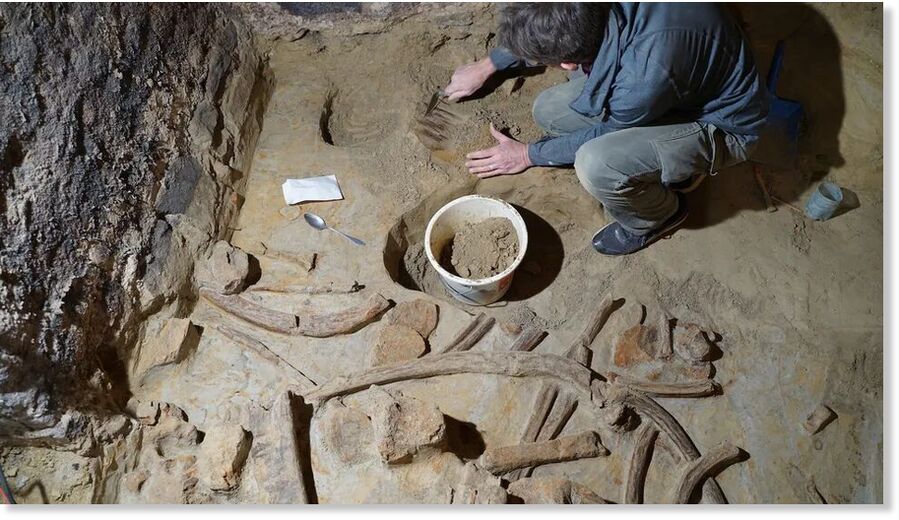 Click to enlarge archaeologist