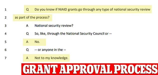 Fauci said the money he awards to labs abroad is not reviewed for national security concerns