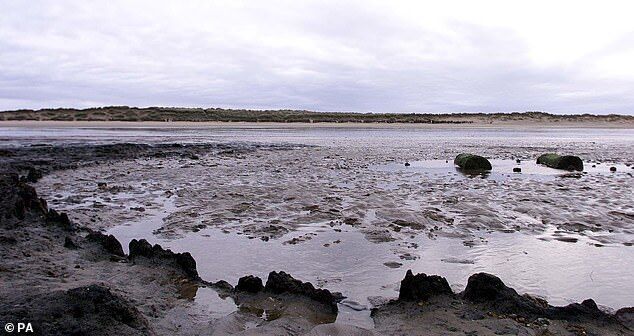 Click to enlarge seahenge