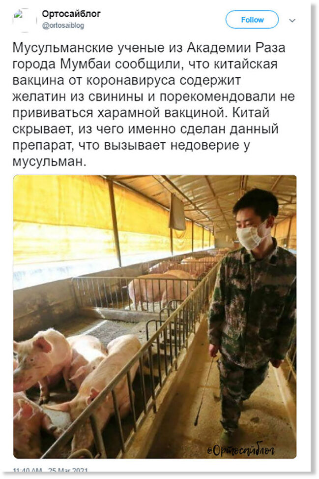 Click to enlarge pork vaccine