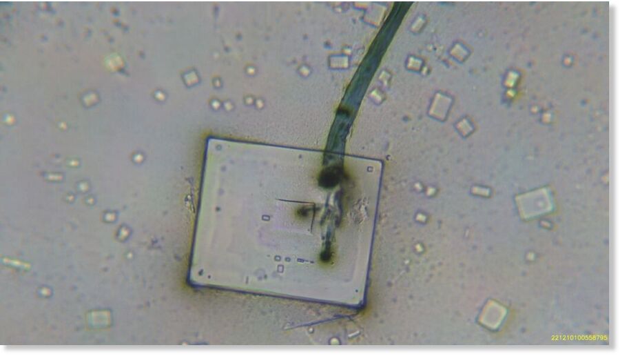 Click to enlarge wire-like structure appeared