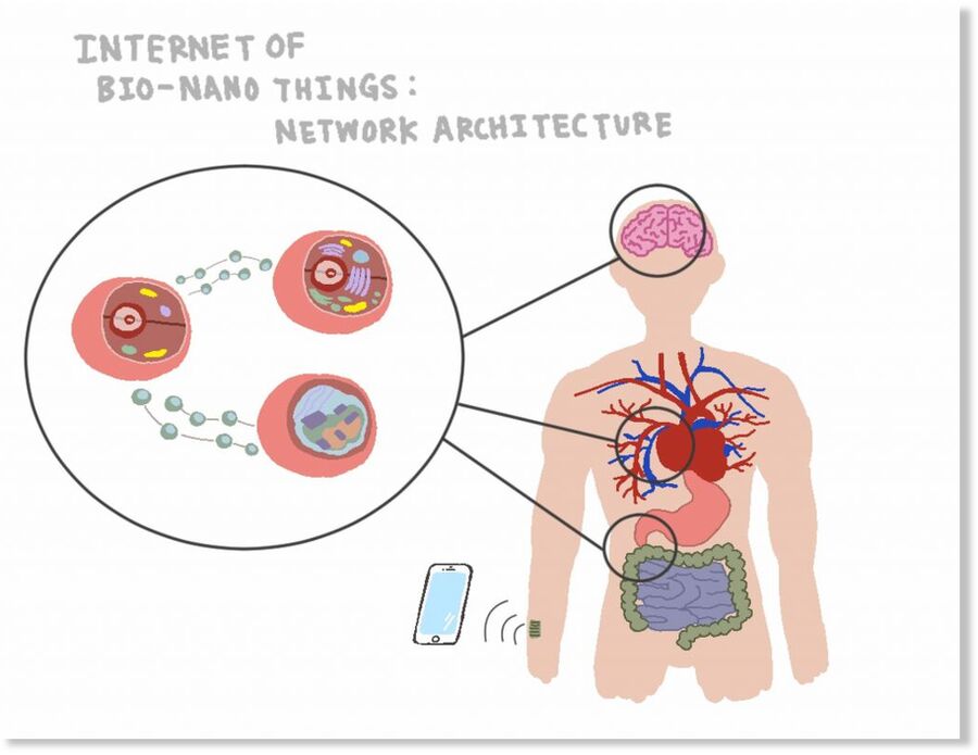 Click to enlarge impression of slide 33 from a presentation to the Visions for Future