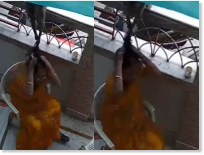 The footage shows the monkeys approaching the woman, sitting on a chair, from behind and pulling her hair so hard that she loses balance.