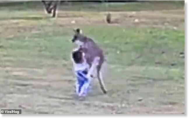 The terrifying attack was caught on CCTV.