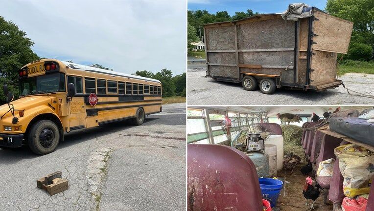 Click to enlarge bestiality bus