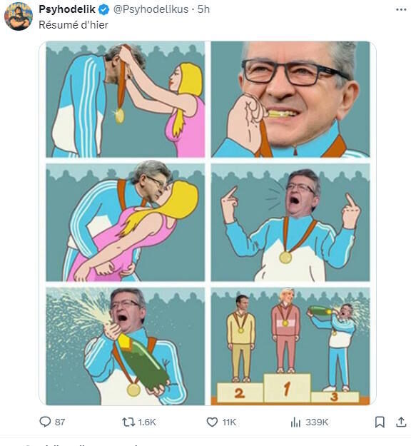 French election in cartoon understanding