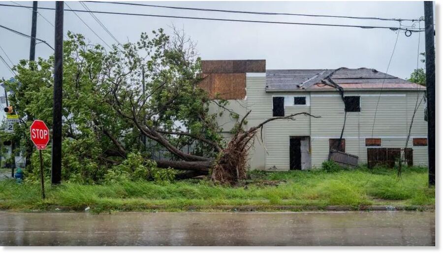 A tree in Houston, Texas was toppled by Hurricane Beryl's fierce winds