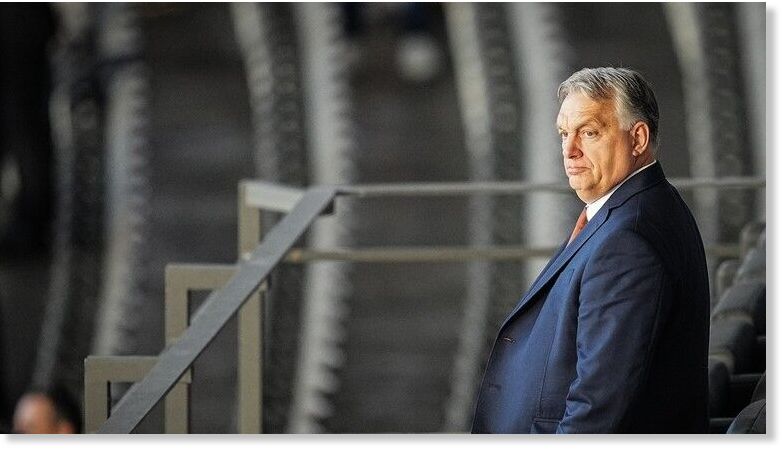 Click to enlarge orban
