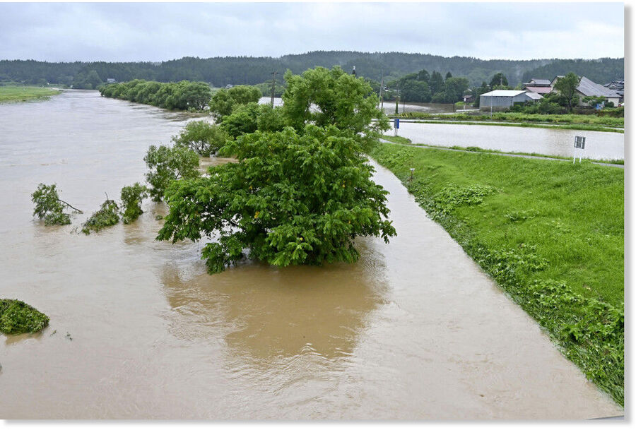 Click to enlarge Photo taken in the morning on July 25, 2024, shows a river (L) that has burst its banks in Yurihonjo, Akita