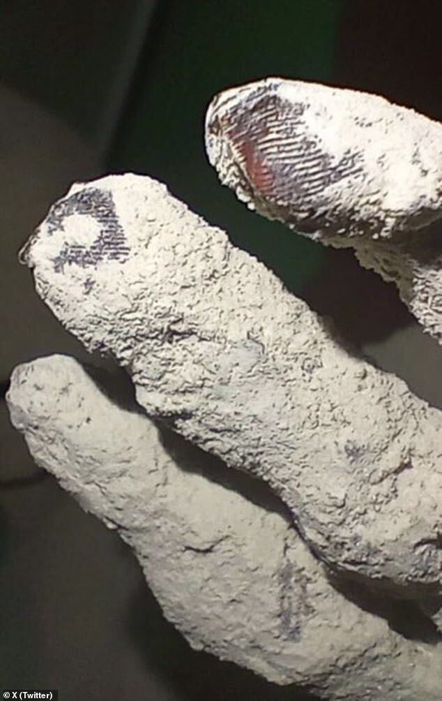 Click to enlarge alien mummies fingerprints not human