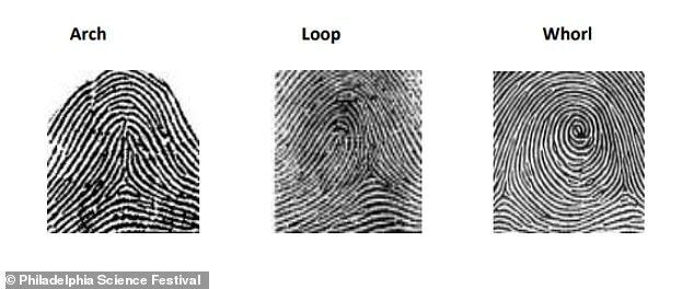 Click to enlarge fingerprint sample types