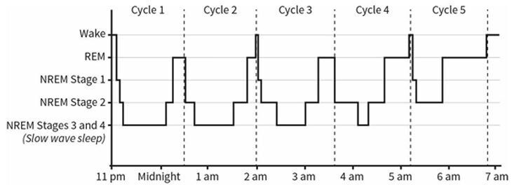 power of sleep 1