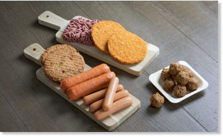plant based food