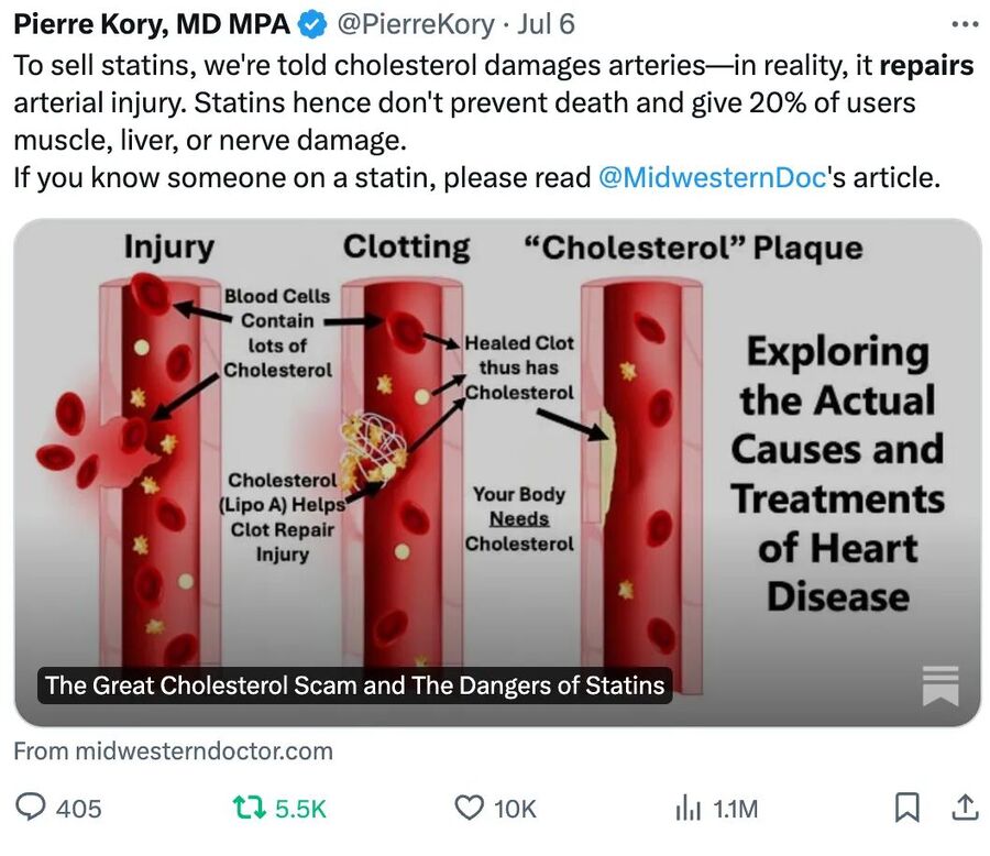 tweet statins damage cholesterol