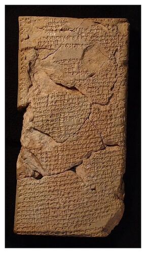 Click to enlarge The full view of the length of the tablet.